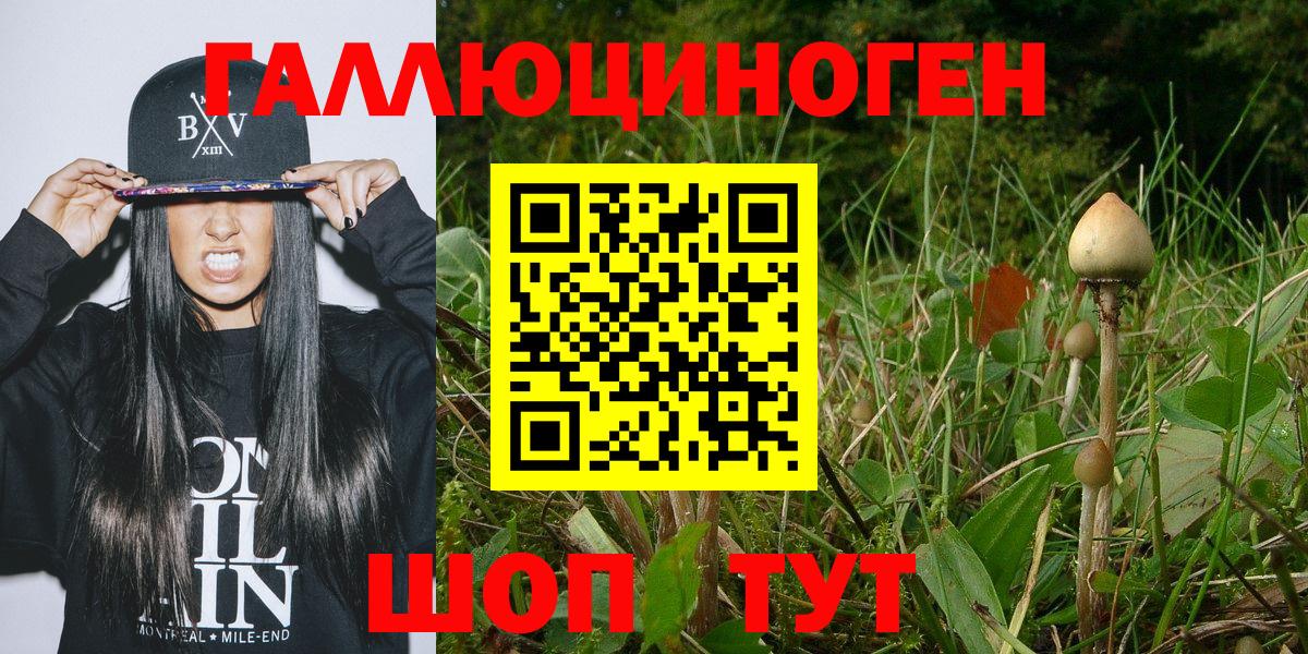 Галлюциногенные грибы GOLDEN TEACHER  где купить наркотик  Россия  Вход с VPN 